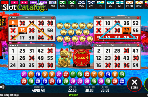 Скрин5. Golden Lucky Cat Bingo слот