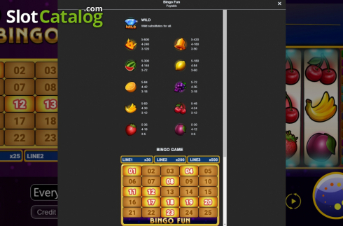 Скрин7. Bingo Fun слот