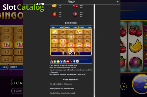 Скрин8. Bingo Fun слот