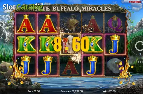 Скрин3. White Buffalo Miracles слот