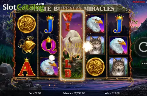 Скрин4. White Buffalo Miracles слот