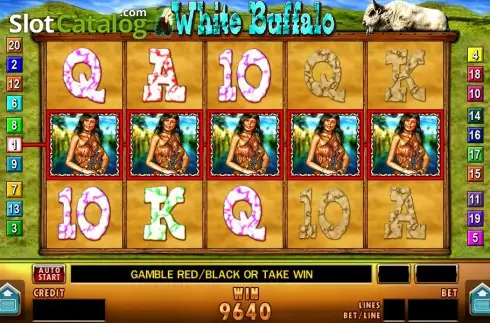Скрин7. White Buffalo (Merkur) слот