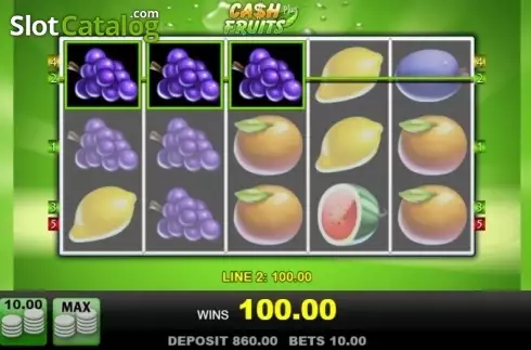 Скрин4. Cash Fruits Plus (Merkur) слот
