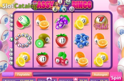 Скрин2. Sassy Bingo слот