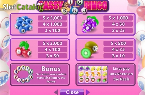 Скрин7. Sassy Bingo слот