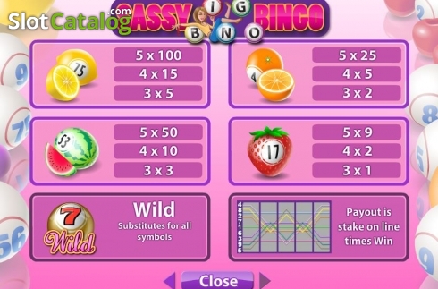 Скрин8. Sassy Bingo слот