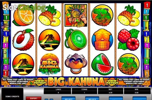 Скрин3. Big Kahuna слот