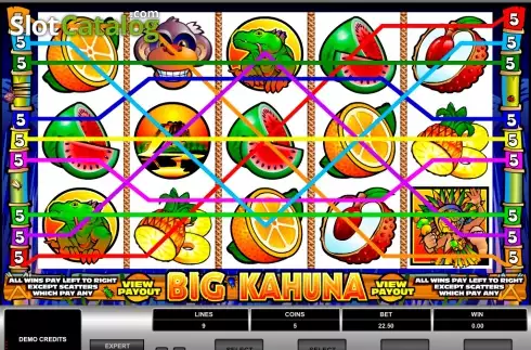 Скрин4. Big Kahuna слот