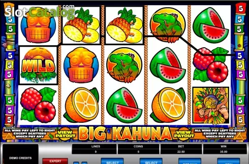 Скрин6. Big Kahuna слот