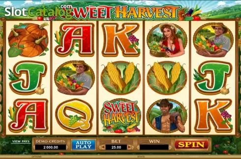 Скрин5. Sweet Harvest слот