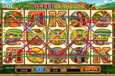 Скрин6. Sweet Harvest слот