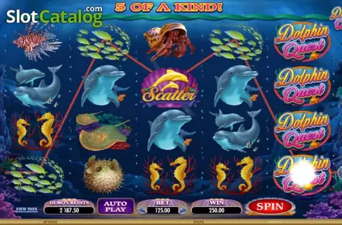 Скрин5. Dolphin Quest слот