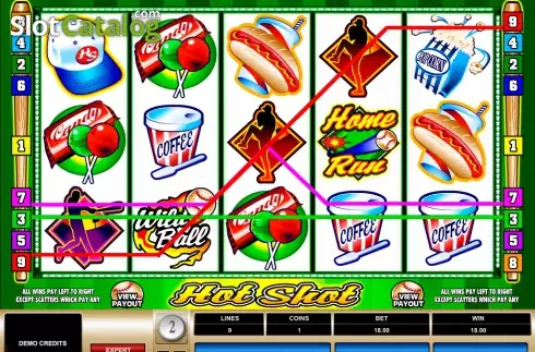 Скрин4. Hot Shot (Microgaming) слот