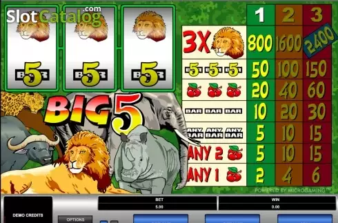 Скрин2. Big 5 слот