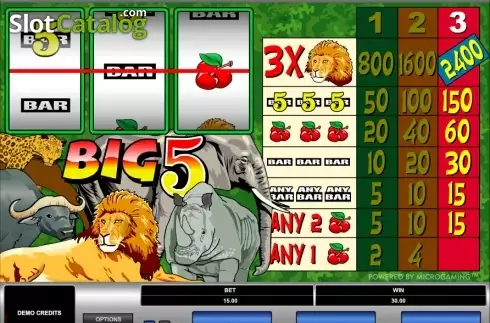 Скрин3. Big 5 слот