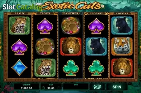 Скрин2. Exotic Cats слот