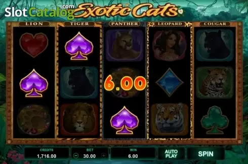 Скрин4. Exotic Cats слот