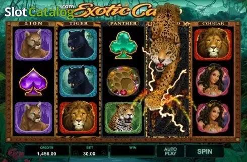 Скрин5. Exotic Cats слот