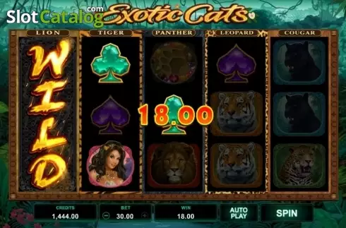 Скрин6. Exotic Cats слот