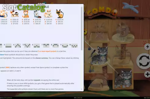 Скрин5. Kitty Condo слот
