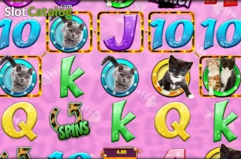 Скрин3. Meow Money слот