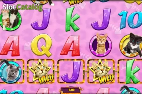 Скрин6. Meow Money слот