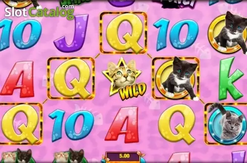 Скрин8. Meow Money слот