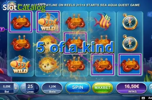 Скрин3. Aqua Cash (NeoGames) слот