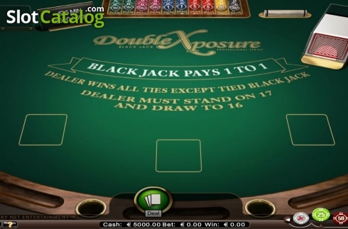 Скрин2. Double Exposure Blackjack Professional Series High Limit слот