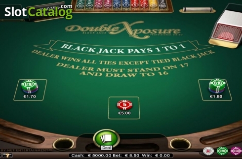 Скрин3. Double Exposure Blackjack Professional Series Low Limit слот