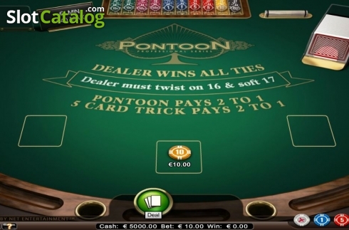 Скрин2. Pontoon Professional Series слот