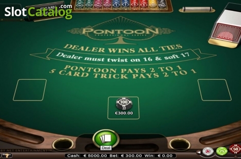 Скрин2. Pontoon Professional Series High Limit слот