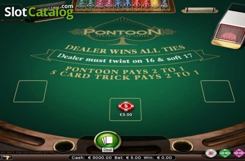 Скрин2. Pontoon Professional Series Low Limit слот
