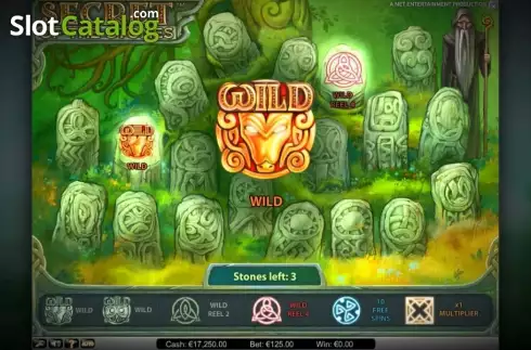 Скрин5. Secret of the Stones слот