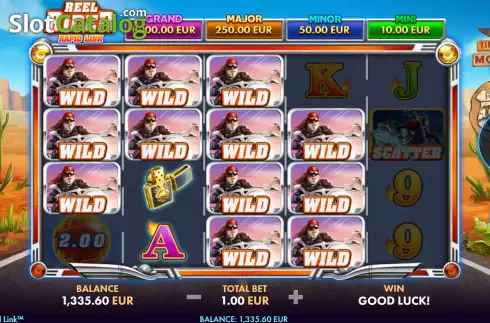 Скрин8. Reel Rider слот