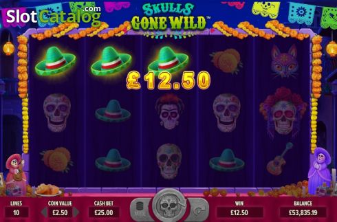 Скрин5. Skulls Gone Wild слот