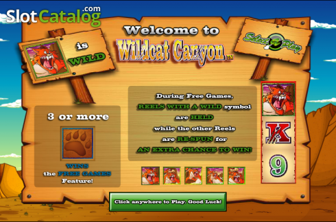 Скрин2. Wild Cat Canyon слот