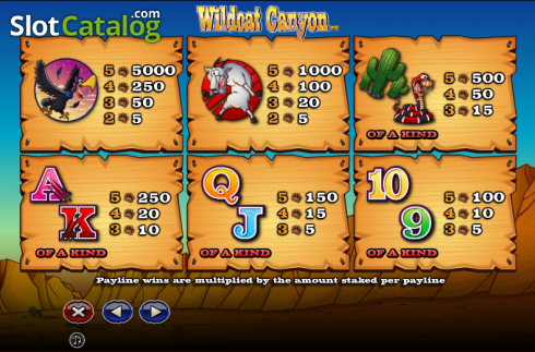 Скрин9. Wild Cat Canyon слот