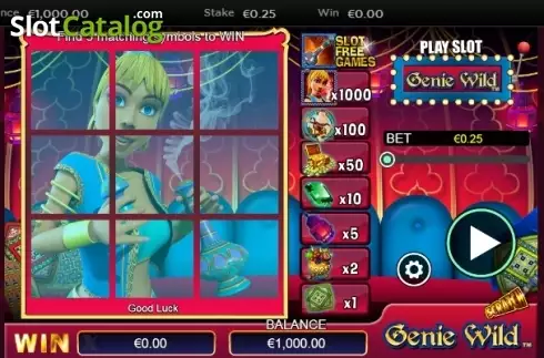 Скрин2. Scratch Genie Wild слот