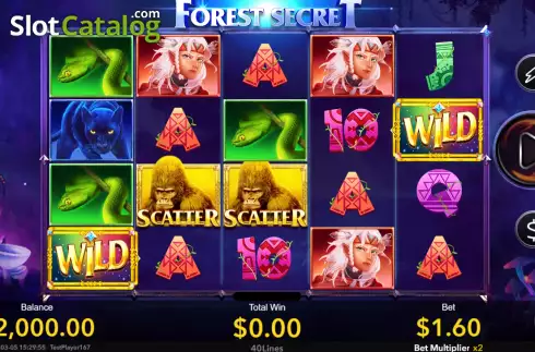Скрин2. Forest Secret слот