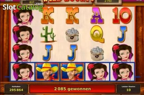 Скрин3. Wild Bounty (Big Wave Gaming) слот