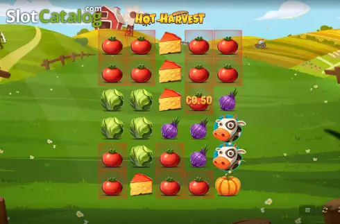Скрин3. Hot Harvest слот