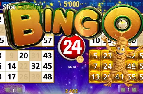 Скрин4. Roma Bingo слот
