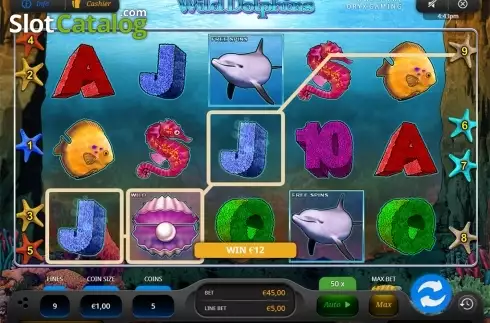 Скрин4. Wild Dolphins слот
