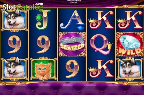 Скрин2. Hollywood Pets слот