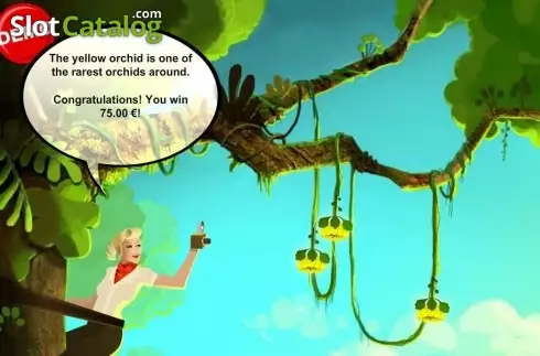 Скрин6. Jungle Mystery (PAF) слот