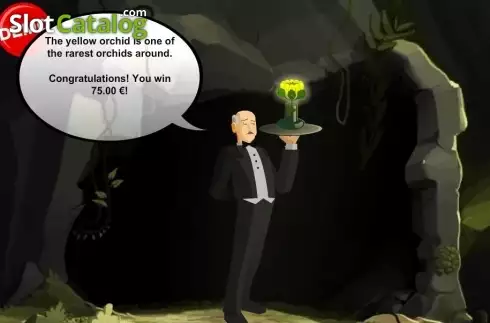 Скрин8. Jungle Mystery (PAF) слот