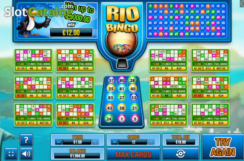 Скрин4. Rio Bingo слот