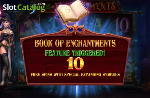 Скрин6. Book Of Enchantments слот