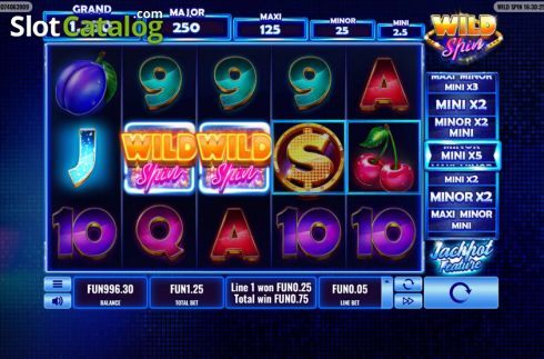 Скрин3. Wild Spin слот